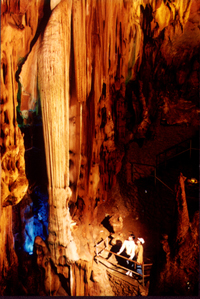 三明天鹅洞天气 三明天鹅洞天气
