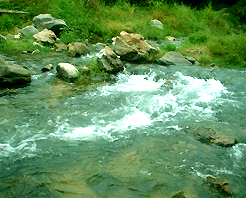 三明上清溪天气 三明上清溪天气