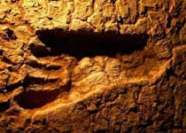 昌都大脚印天气