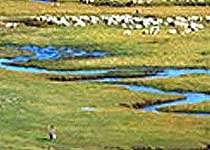 芒康莽措天气 芒康莽措天气
