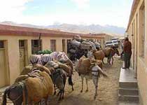 普兰国际贸易市场天气 普兰国际贸易市场天气