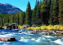 张掖市森林公园天气 张掖市森林公园天气