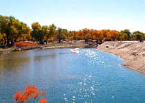 高台黑河流域自然保护区天气 高台黑河流域自然保护区天气