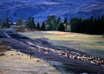 乌鲁木齐西白杨沟天气 乌鲁木齐西白杨沟天气