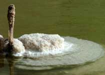 乌鲁木齐盐湖天气 乌鲁木齐盐湖天气