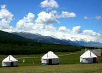巴里坤草原天气 巴里坤草原天气