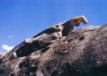 哈密怪石山天气 哈密怪石山天气