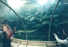 厦门海底世界天气 厦门海底世界天气