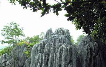 永安石林天气 永安石林天气