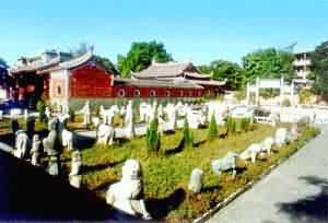 厦门同安孔庙天气 厦门同安孔庙天气