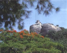 厦门日光岩天气 厦门日光岩天气