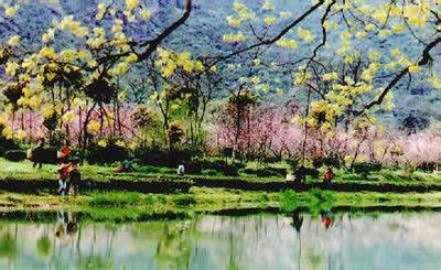 宁德杨家溪天气 宁德杨家溪天气