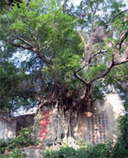 福州乌山天气 福州乌山天气