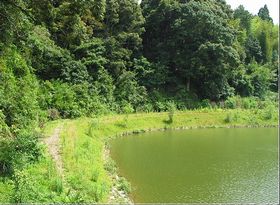 福州旗山国家森林公园天气 福州旗山国家森林公园天气