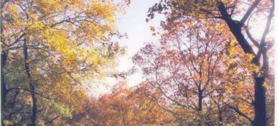 沈阳市苏家屯姚千户屯镇天气 沈阳市苏家屯姚千户屯镇天气