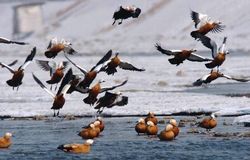 沈阳浑河乐园天气 沈阳浑河乐园天气