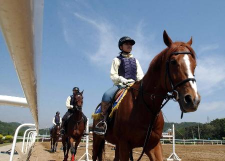 大连女子骑警基地天气 大连女子骑警基地天气