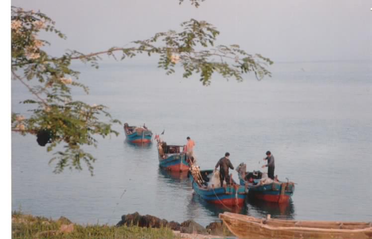 普兰店平岛旅游度假村天气 普兰店平岛旅游度假村天气