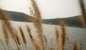 旅顺口旅顺猴石山天气 旅顺口旅顺猴石山天气