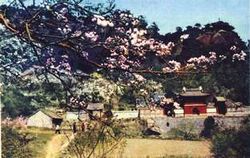 鞍山中会寺天气 鞍山中会寺天气