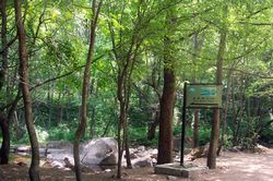 抚顺猴石森林公园天气 抚顺猴石森林公园天气