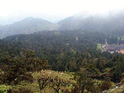 丹东飞瀑涧天气 丹东飞瀑涧天气
