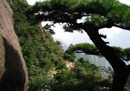 丹东大孤山天气 丹东大孤山天气