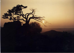 阜新海棠山天气 阜新海棠山天气
