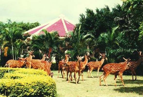 吉林龙潭山鹿场天气 吉林龙潭山鹿场天气