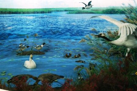 白城莫莫格天气 白城莫莫格天气