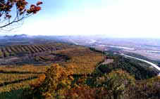 延边草帽龙泉天气 延边草帽龙泉天气