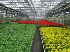 哈尔滨北方现代都市农业示范园天气 哈尔滨北方现代都市农业示范园天气