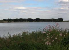 哈尔滨金河旅游公园天气 哈尔滨金河旅游公园天气