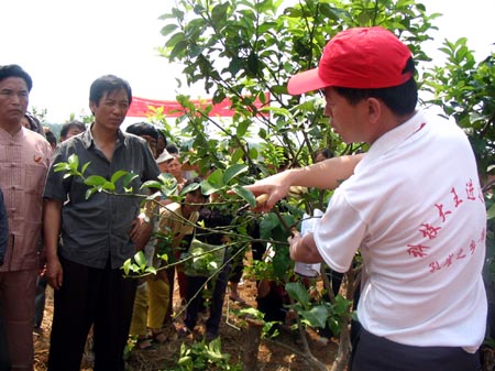 黑龙江省农科院园艺分院天气 黑龙江省农科院园艺分院天气