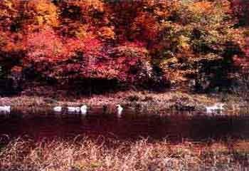 铁力哈尔滨透龙山天气 铁力哈尔滨透龙山天气