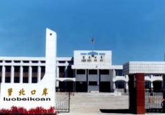 鹤岗萝北口岸天气 鹤岗萝北口岸天气