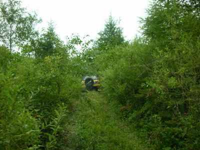 鹤岗太平沟古镇天气 鹤岗太平沟古镇天气