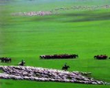 大庆草原赛马场天气 大庆草原赛马场天气