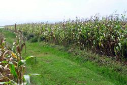 大庆杜蒙草原风情天气 大庆杜蒙草原风情天气