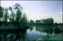 大庆九龙旅游区天气 大庆九龙旅游区天气