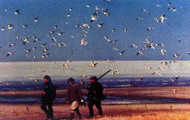 大庆连环湖狩猎场天气 大庆连环湖狩猎场天气