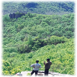 牡丹江牡丹峰天气 牡丹江牡丹峰天气