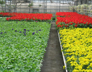 牡丹江春城园艺示范园天气 牡丹江春城园艺示范园天气