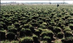 绥化双河林木自然保护区天气 绥化双河林木自然保护区天气