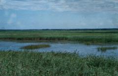 绥化西洼荒天气 绥化西洼荒天气
