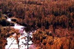 大兴安岭自然保护区冷水鱼栖息地天气 大兴安岭自然保护区冷水鱼栖息地天气