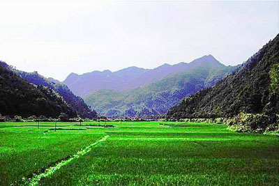 南平洞宫山天气 南平洞宫山天气