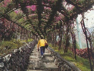 台湾龙谷天然乐园天气 台湾龙谷天然乐园天气