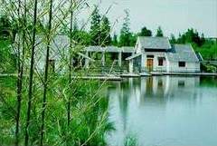 上海共青森林公园天气 上海共青森林公园天气