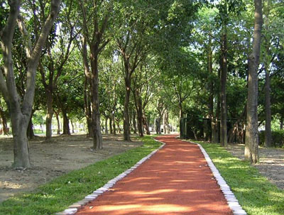 台湾大安森林公园天气